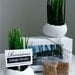 Porcelain Egg Planters, Wheat Grass Kit, Egg Sprouts Set of 2