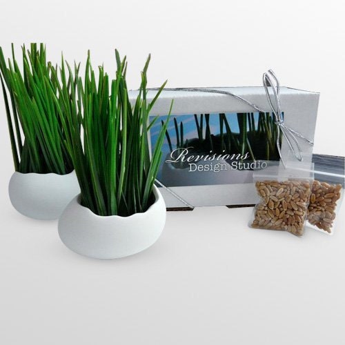 Porcelain Egg Planters, Wheat Grass Kit, Egg Sprouts Set of 2