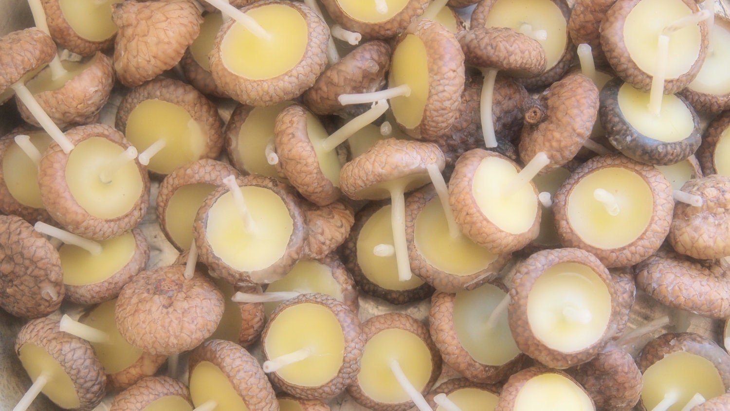beeswax acorn cap candle