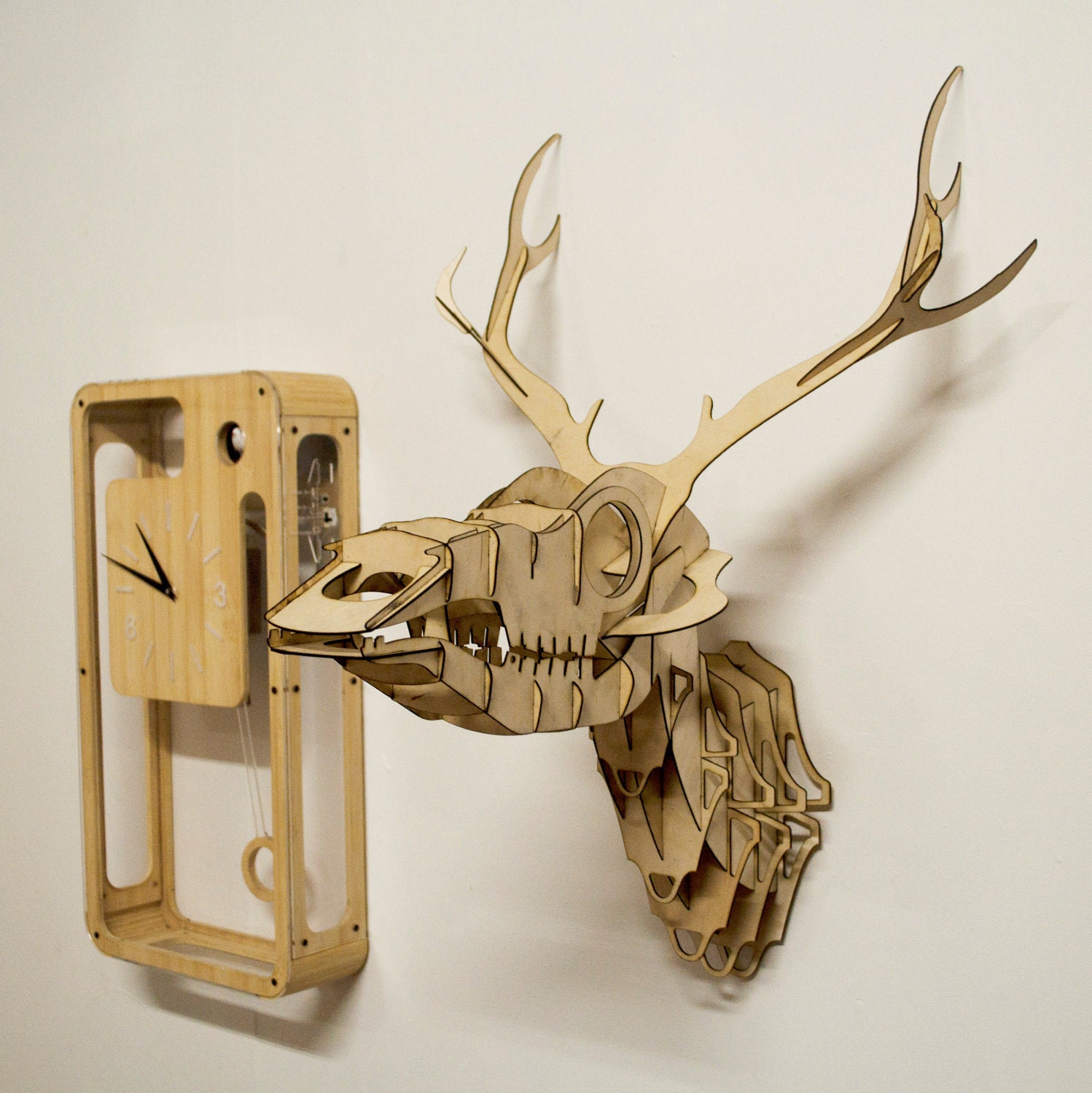 Goldfuss - plywood taxidermy skull deer trophy