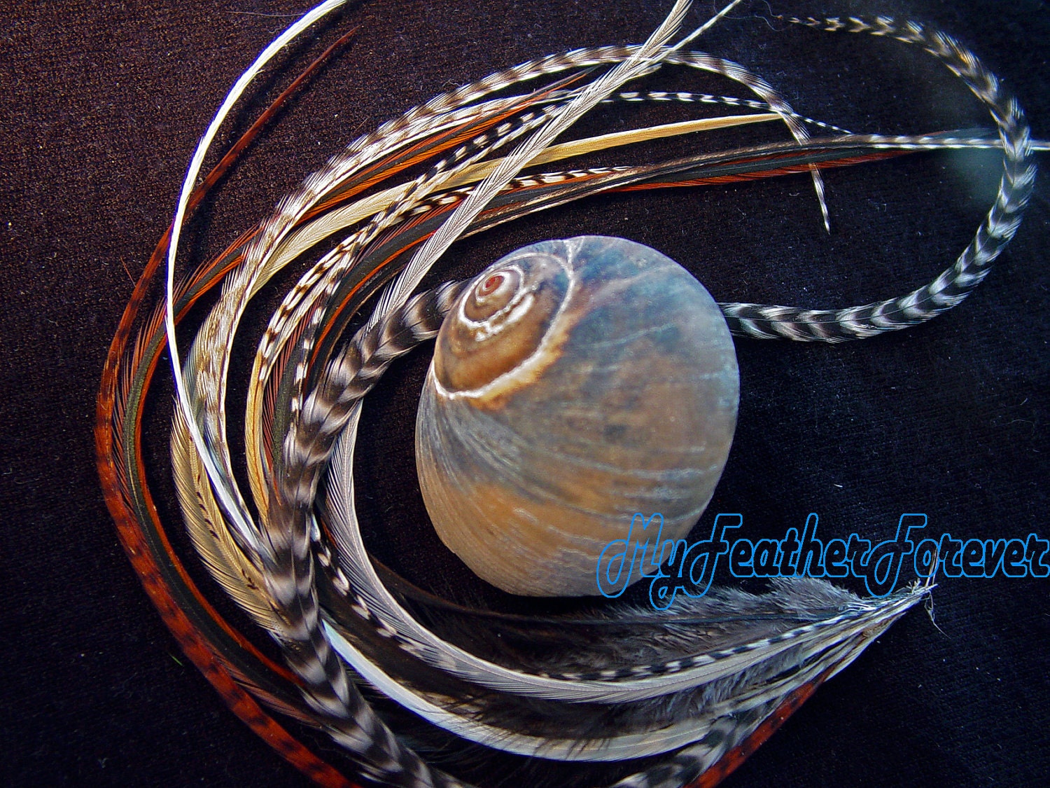 Brown blond 10 FEATHER extension earth tones 9'' -12 '' long b/w grizzly blonde brown black beige grey 4 bead