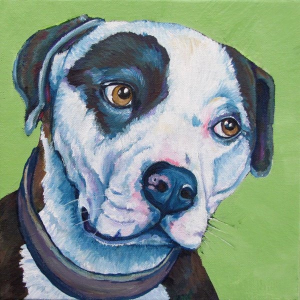 8" x 8" Custom Pet Portrait Painting in Acrylic Paint on Canvas of One Dog, Cat, or Other Animal Ready to Hang