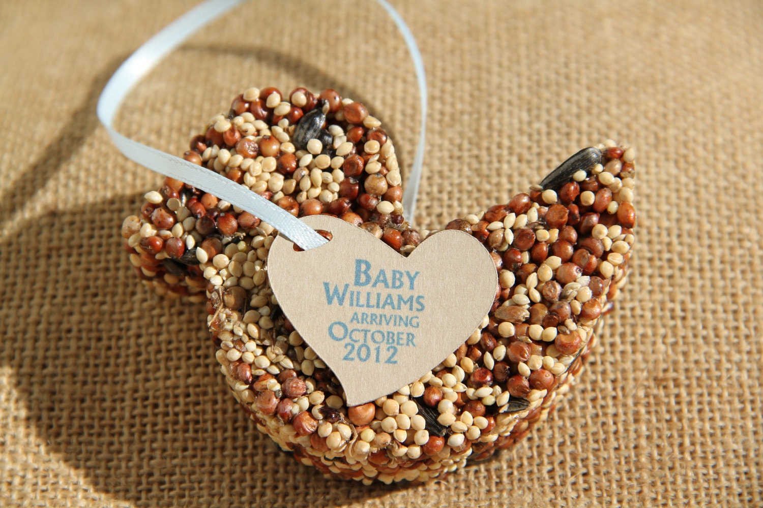 Baby shower favors, bird seed ducky favors, set of 12 baby boy duck