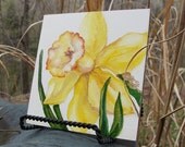 original painting, floral painting, spring daffodill, 4 x 4 watercolor