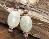 Fossil Coral, Copper wire Earrings
