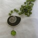 Ammonite & Peridot Talisman Necklace