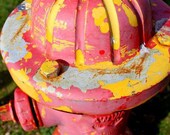 Hydrant - 8 X 12 Dry Mounted Print