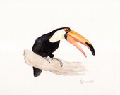 Toucan No.1 Print 8x10, Watercolor Print, Bird Print, Bird Art