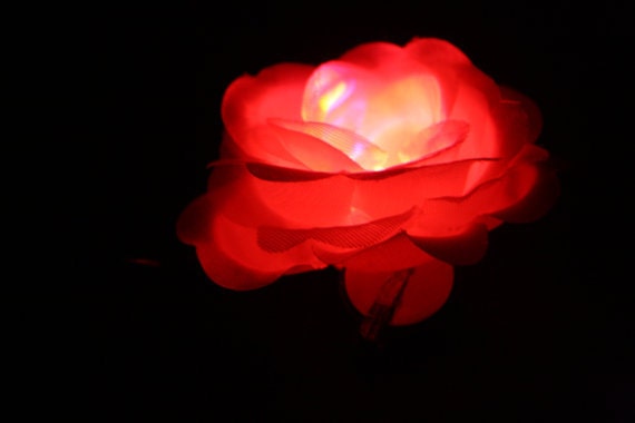 LED Rose Clip