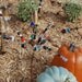 Beaded Blossoms -- Garden Bead Art -  Wire Suncatcher Sculptures - Beaded Flowers