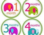 ON SALE Baby Girl Monthly Onesie Stickers...Elephants...Great baby shower gift...Baby Month Stickers...Baby Onesie Stickers