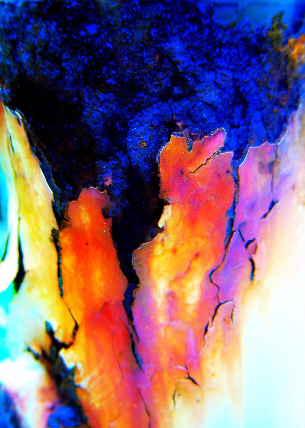 Umbrella Stand Fine Art Photo 8 x 10 - Rusty Abstract Lots of Color