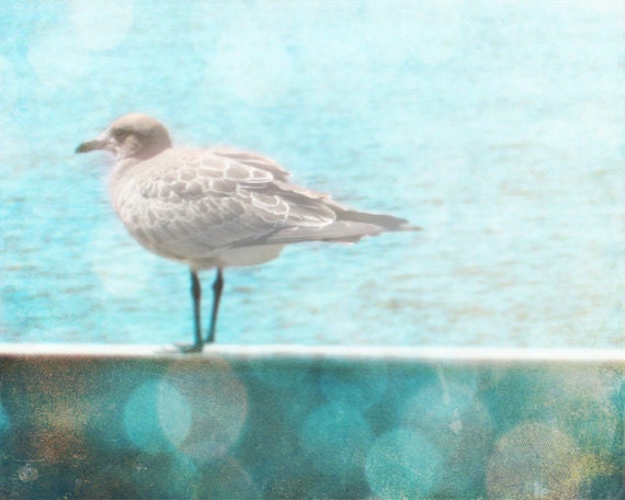 Seagull Beach Photo - Blue Aqua Bokeh Home Decor Wall Art Bird Whimsical Photograph