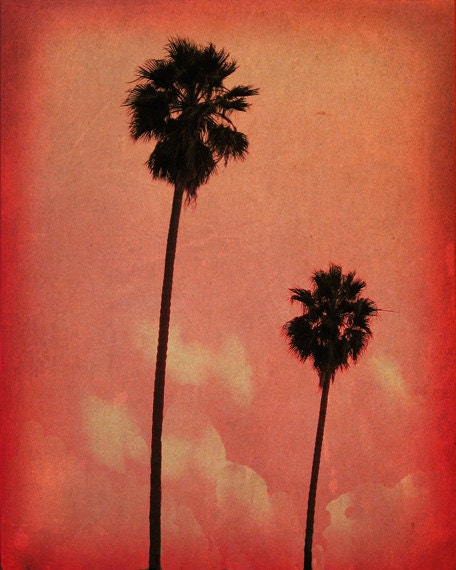Palm Tree Art Print - Red Pink Coral Sky Black Silhouette Beach House Wall Art Home Decor Photograph