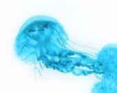 Jellyfish Abstract Art Print - Aqua White Blue Surreal Home Decor Wall Art Beach House Photograph