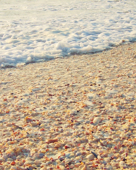 Shell Beach Art Print  - Vintage Ocean Tan Soft Pastel Beach House Wall Art Decor Shore Photo