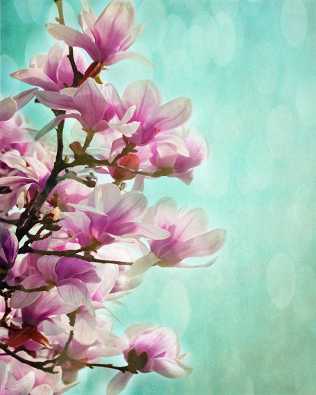 Magnolia Tree Art Print - Aqua Pink Bokeh Nursery Wall Art Home Decor Spring Girl Room Photograph