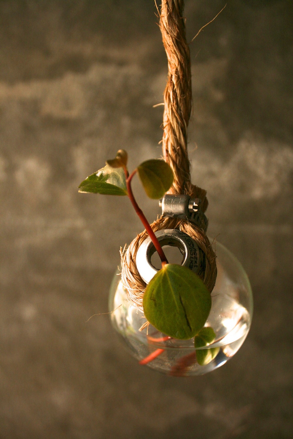 Shabby Chic Decor Hanging Lightbulb Vase Glass Vase Cottage Style - Rustic Rope Design