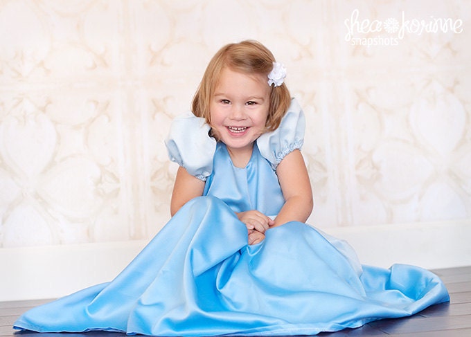 Fancy Cinderella Dress - Size 2T-12