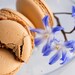French Macarons - 24 Assorted French Macaron Box
