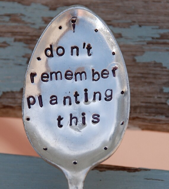 I don't Remember Planting This hand stamped Spoon with DOTS