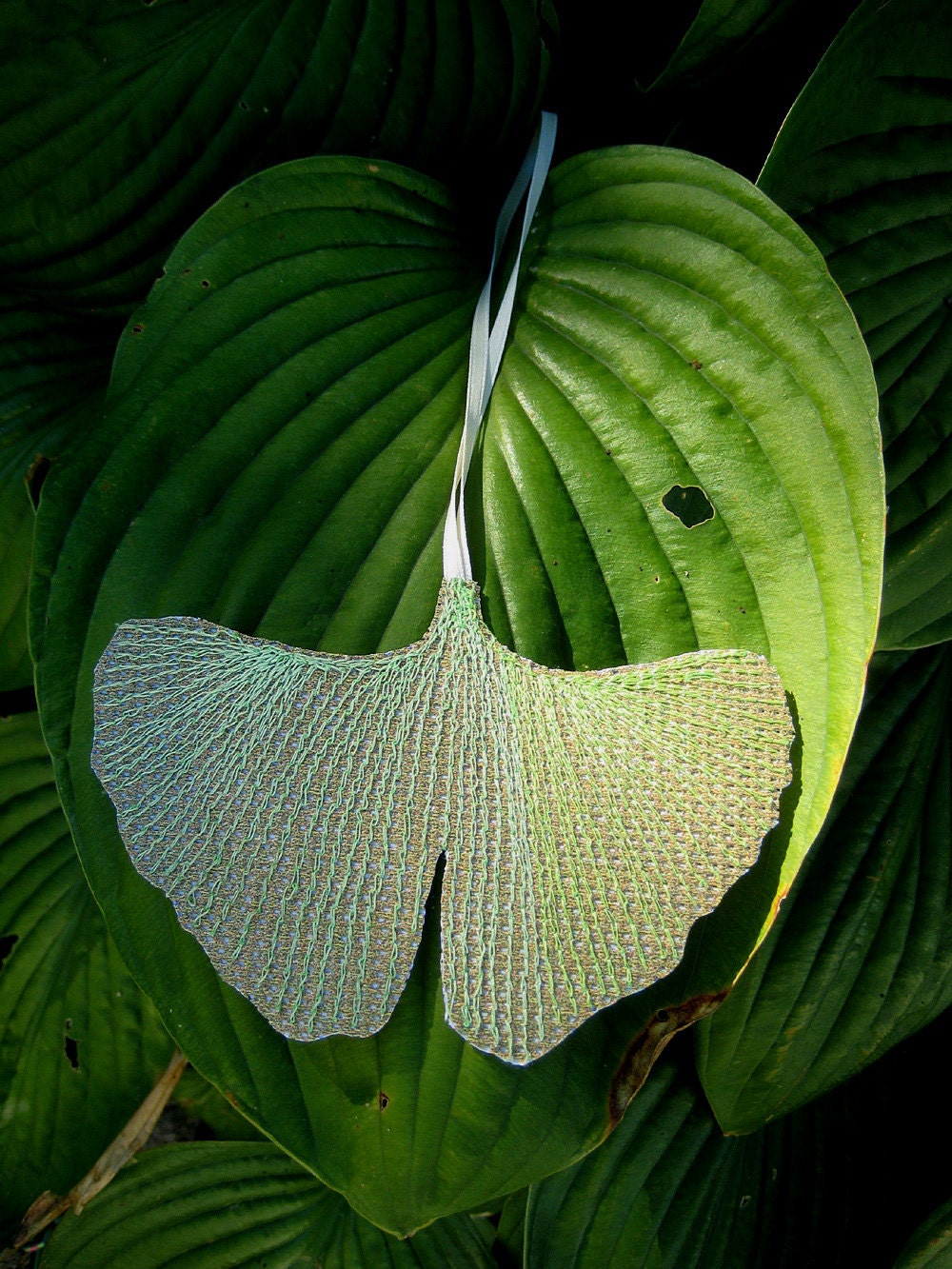 Ginkgo Leaf