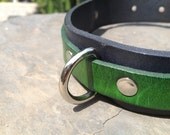 Custom Two-Tone Leather Buckle Dog Collar