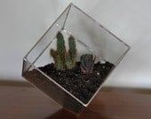 Earth Terrarium Kit, large cube glass planter in copper or silver color -- terrarium supplies -- eco friendly