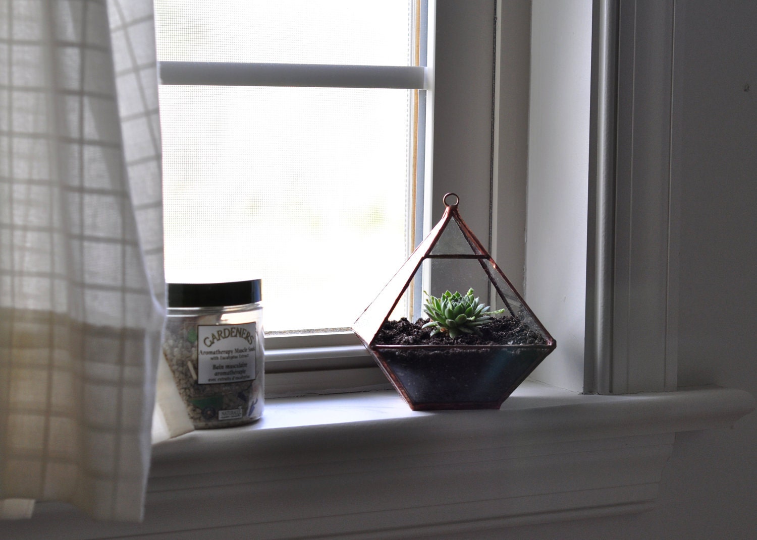 Air Terrarium Kit, pyramid top glass terrarium for hanging or to sit -- copper or silver color -- terrarium supplies -- eco friendly