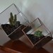 Earth Terrarium Kit, medium cube glass planter in copper or silver color -- stained glass -- terrarium supplies -- eco friendly