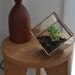 Earth Terrarium Kit, small cube glass planter in copper or silver color -- stained glass -- terrarium supplies -- eco friendly