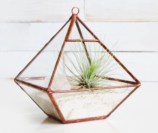 Air Terrarium Kit, pyramid top glass terrarium for hanging or to sit -- copper or silver color -- terrarium supplies -- eco friendly