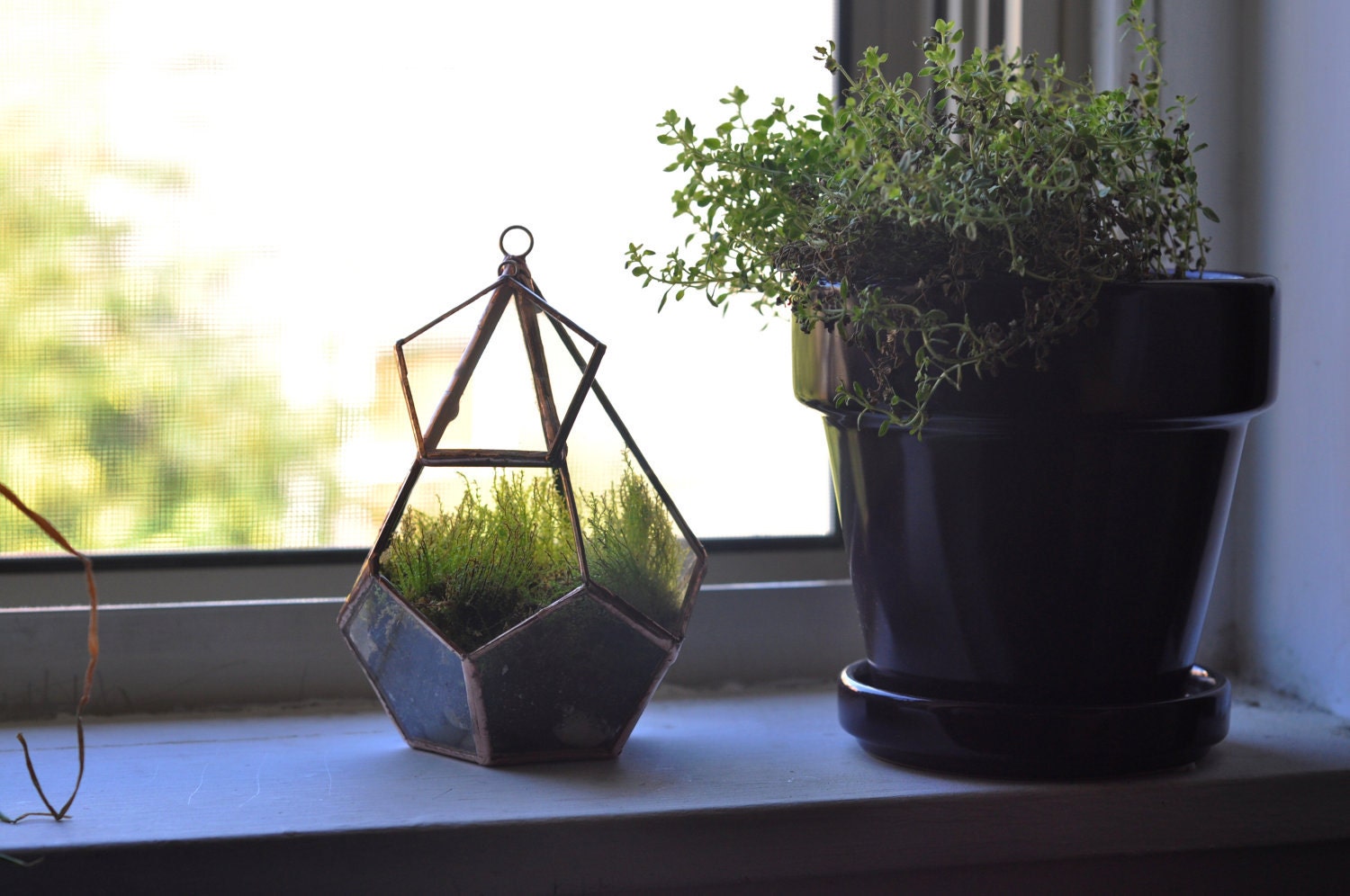 Hanging Teardrop Glass Terrarium with Door -- moss terrarium -- stained glass terrarium -- terrarium supplies -- eco friendly