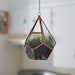 Hanging Teardrop Glass Terrarium with Door -- moss terrarium -- stained glass terrarium -- terrarium supplies -- eco friendly