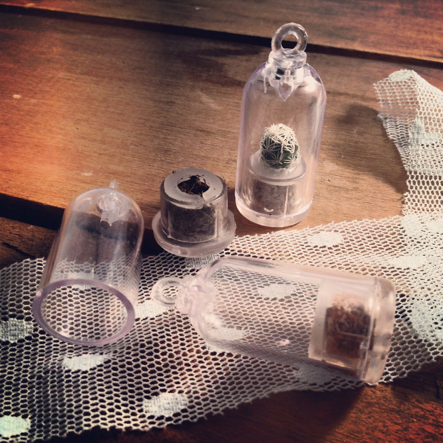 1 Pc Empty Dome Top terrarium Container - Grow your own live terrarium Charm Pendant apothecary terrarium supplies Woodland