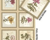 Vintage Botanical Pillow Panel  - Beige - Arboretum Collection by Michele D'Amore - Benartex Fabric
