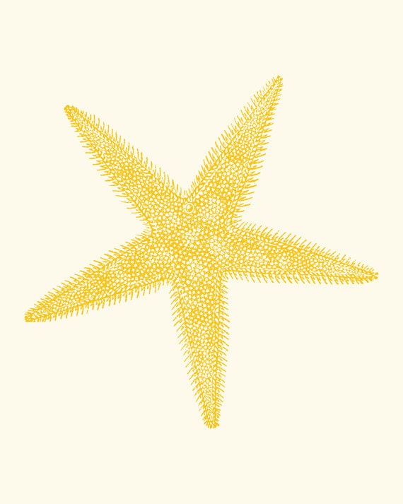 Orange Starfish Art Print 8 x 10