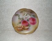 Handpainted plate with peaches and walnuts marked JR Bavaria Handpainted