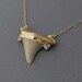 Double Connected Gold Shark Tooth Necklace