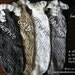 SALE Lil Lacey Lou - Graphite: Girls open-knit girls leg warmers w/ ivory knit lace & 2 buttons - legwarmers baby legs (item no. G-3-23)