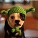 STAR WARS DOG hat costume yoda inspired pet geekery nerdy costumes jedi photo photography prop mashable