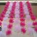 Tulle Backdrop