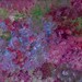 Flowers Overflowing Original Abstract Impressionism Painting
