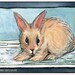 Rabbit Rabbit Hops Online - Art Print - Bunny on computer keyboard - Gift for Geeks