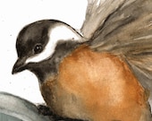 Bird Note Cards - Forest - Brown - Gold - Autumn - Prints from Original Watercolor Painting