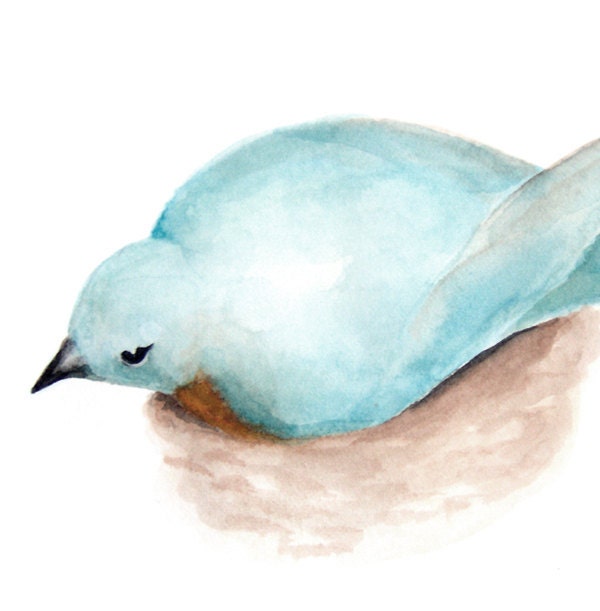 Blue Bird on Nest Fine Art Print