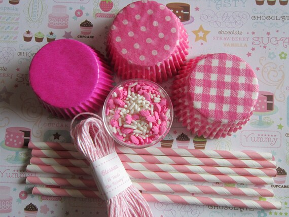 Pink & White Pig Cupcake Party Kit Il_570xn