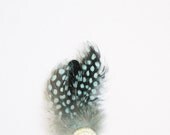 Dot painted feather clip - hair clip- white sand beads- romantic shabby chic