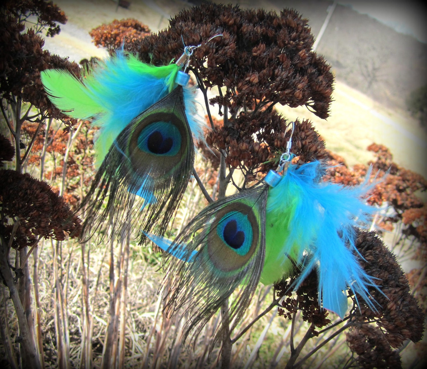 bold and bright peacock feather earrings