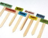 Vegetable Garden Markers for Seedlings - Set of 16 Customized Garden Stakes